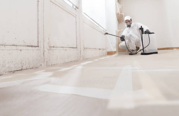 24/7 Emergency Mold Remediation experts in Baldwin, MD